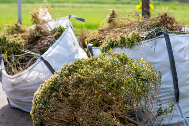 Best Yard Cleanup Services  in Manchester, IA